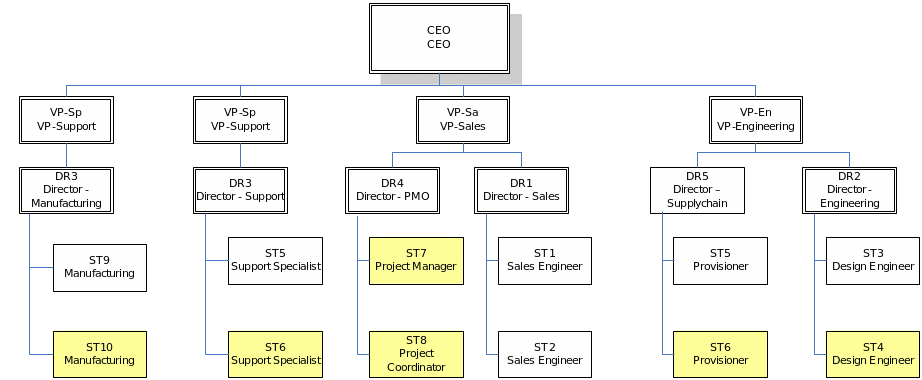 Organizational Structure (Strong Matrix)