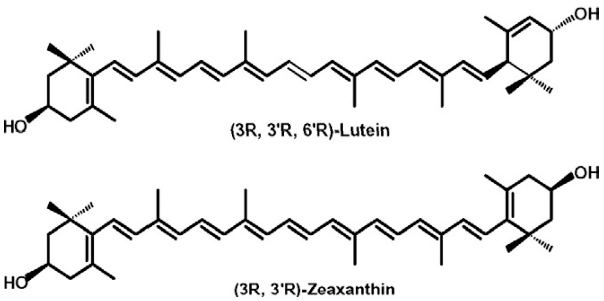 Structure of Lutein and zeaxanthin
