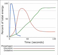Three energy systems and their percentage contribution to total energy output during all-out exercise of different durations.