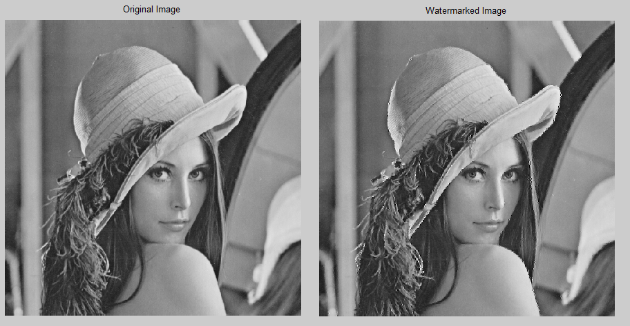 Original Lena Image and DWT2 watermarked Image.