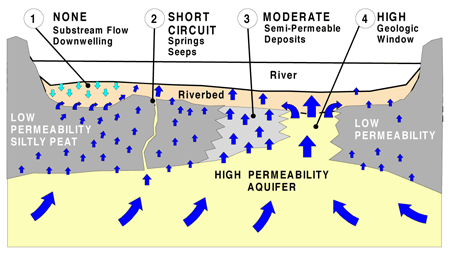 Groundwater Discharge to River Irk Through a Heterogeneous Subsurface (McGrath and Loveland, 1992).