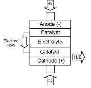 Internal Working Process Flow in a Fuel Cell