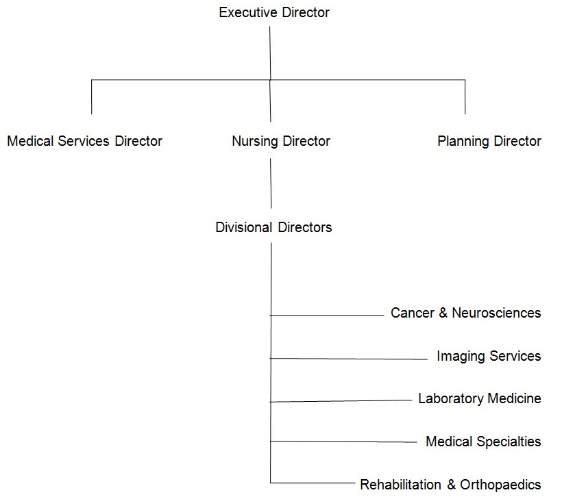 The Royal Perth Hospital management structure: focus on the nursing department human resource
