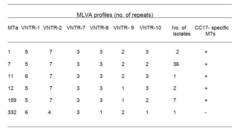 Multiple Locus Variable Analysis (MLVA) revealing MLVA variety and colony results of >40 VREfaecium, >200 isolates