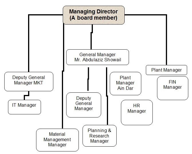  Organisational Structure of Saudi Cement