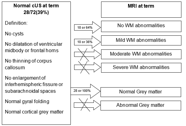MRI results of infants with cUS at term (n=28). 