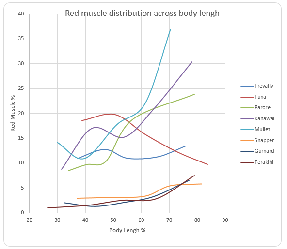 A graph of percentage of muscle against body length of different fishes from the marine ecological system.