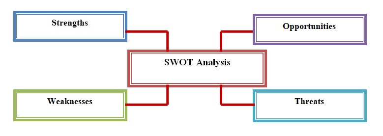 Internal (SWOT) Analysis.
