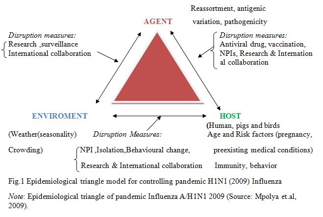 Epidemiological triangle model for controlling pandemic H1N1 (2009) Influenza