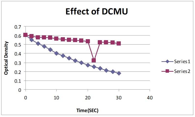 Effect of DCMU