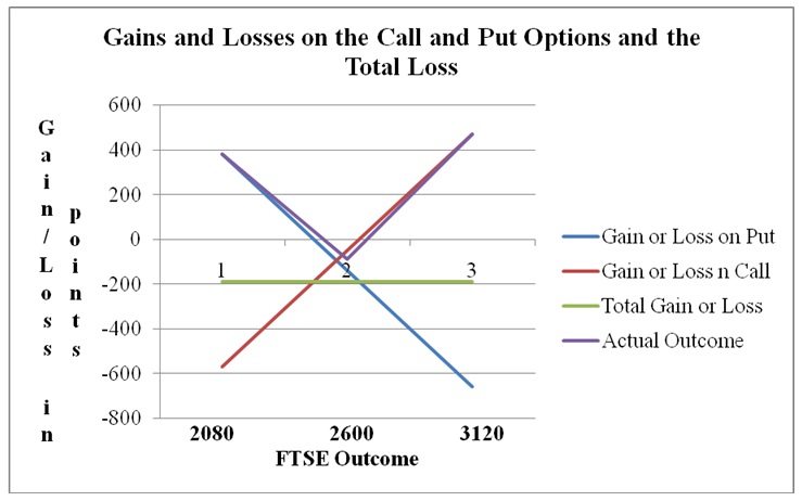 Gains and Losses on the Call and Put Options and the Total Loss