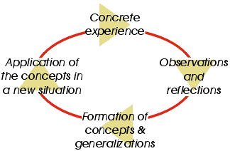 Cycle involving action and reflection, theory and practice