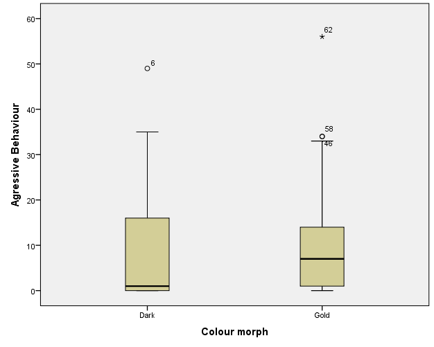 Number of aggressive behaviour observed in gold cichlids and dark cichlids