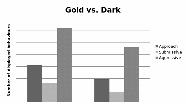 Behaviours observed in gold cichlids against those of dark cichlids when contested together