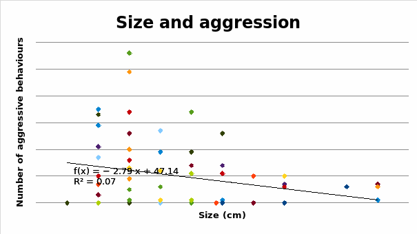 Number of aggressive behaviours displayed in different sized cichlids