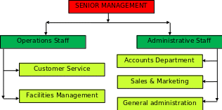 Organizational chart for the first year with summarized job descriptions