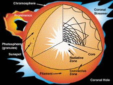 The Basic Structure of the Sun.
