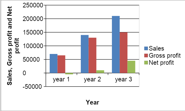 Forecasted sales, gross and net profit for 3 years.