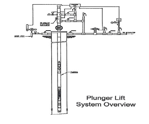 Overview of plunger and the well.