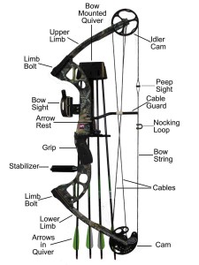 parts of a compound bow.