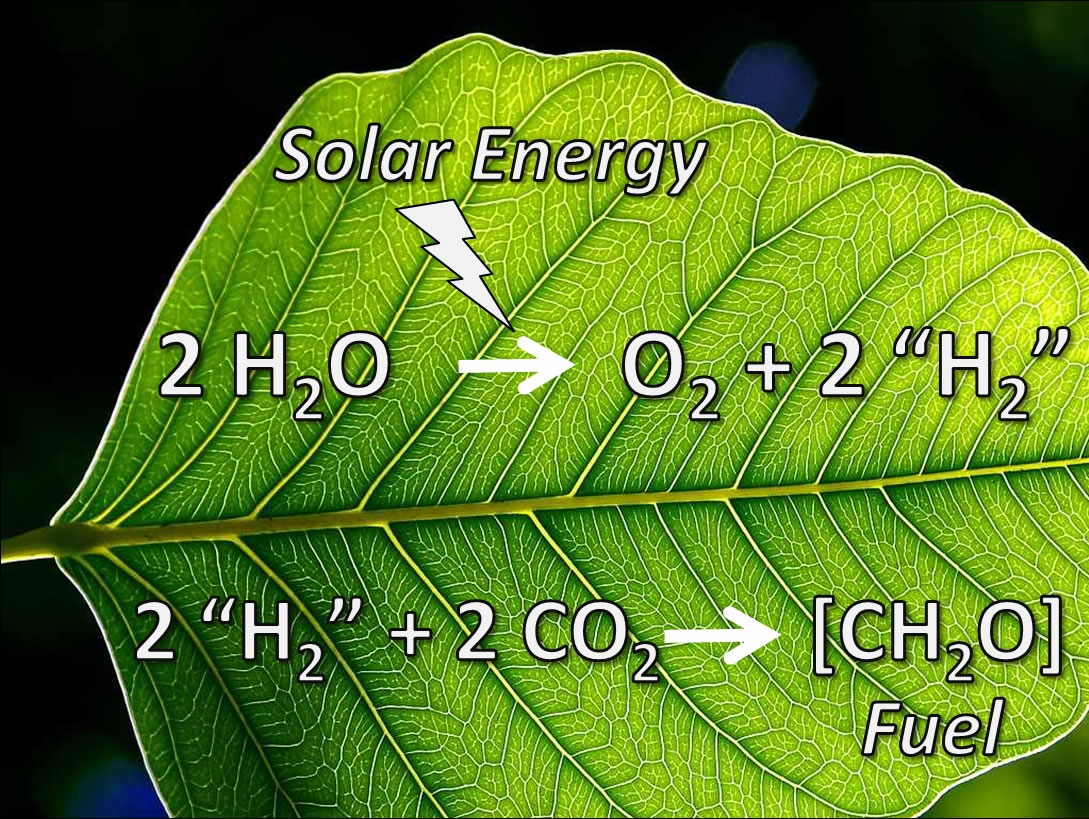 Artificial leaf.