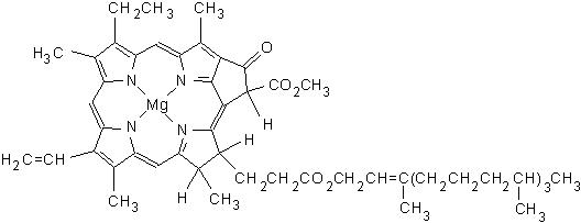 Structure of Chlorophyll.