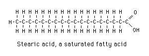 A typical saturated fatty acid would be stearic acid
