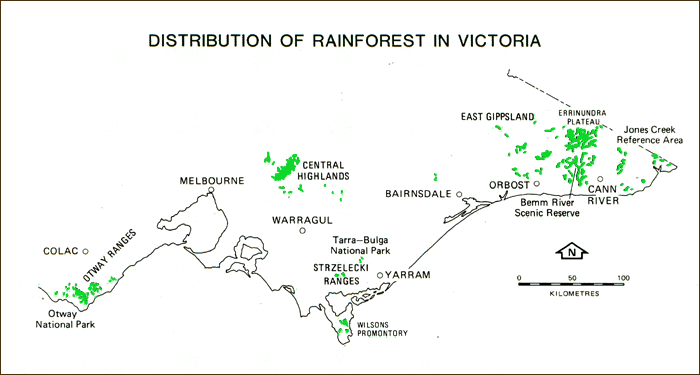 Distribution of rainforest in victoria