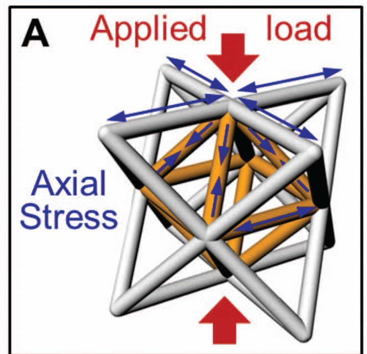 mechanical response in stretch-dominated structures when compressed by weight