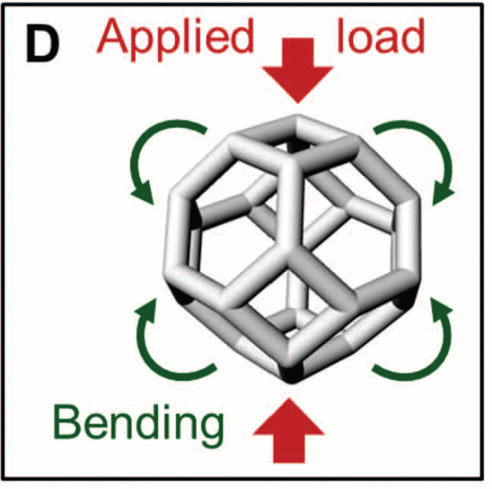 the mechanical response in bend-dominated structures when compressed by weight