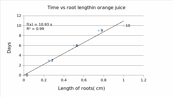 Time vs Root Length in Orange Juice