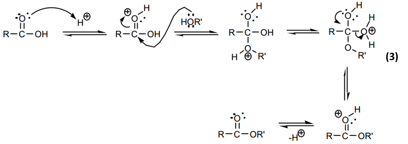 Carboxylic Acids and Esters: Preparation of Methyl Salicylate