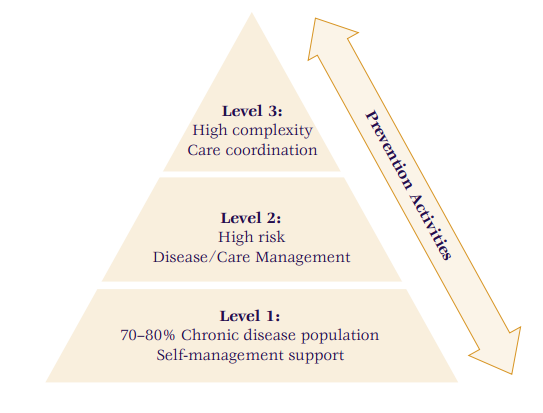 Levels of Health Care for People with Chronic Pain 