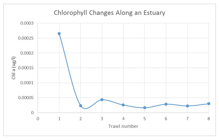 Chlorophyll changes along an estuary