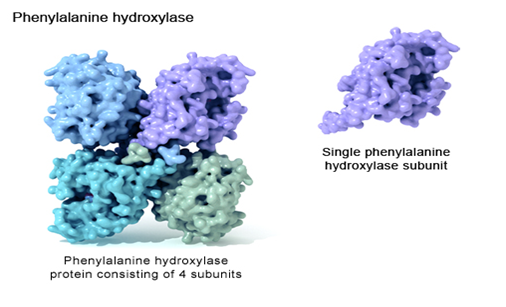 Enzymes like hydrolases