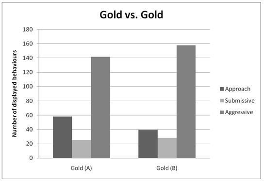 Behaviours observed in gold cichlids of population A against those of population B