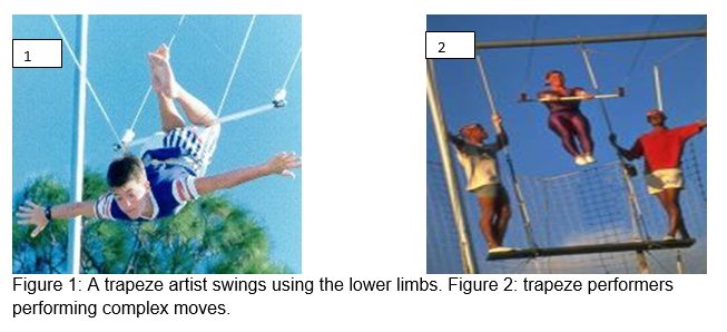 Swinging Physics: Playing on a Swing