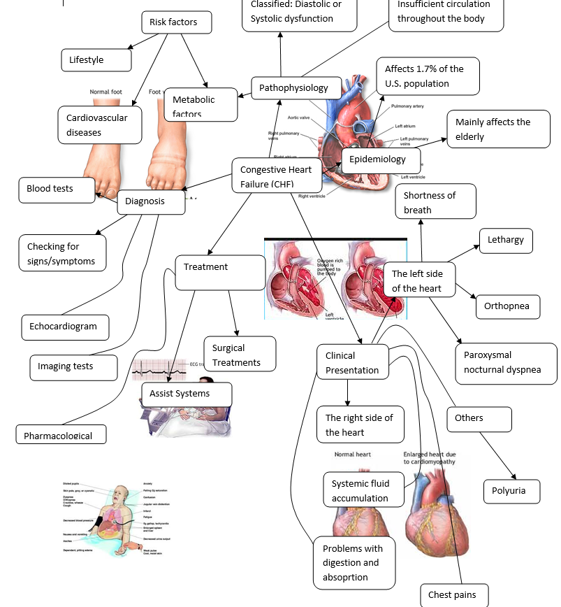 Mind Map-Congestive Heart failure