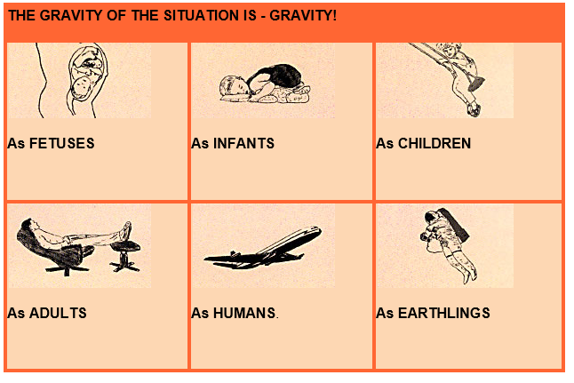 Effects of Gravity on Our Body