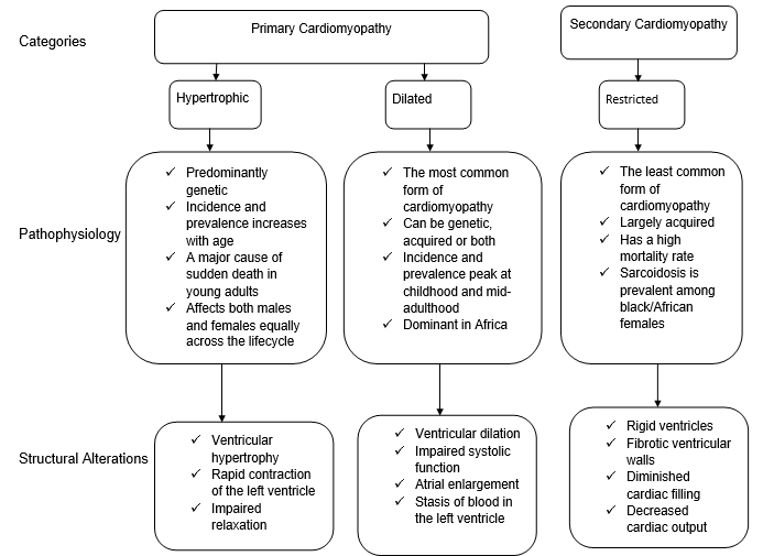 Cardiomyopathy-Conceptual Map