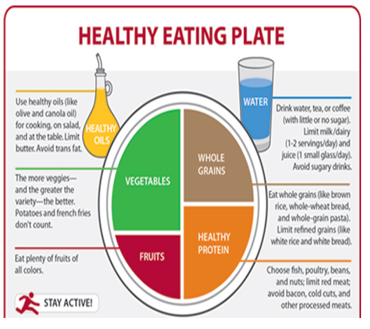 Healthy eating plate