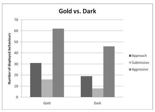 Behaviours observed in gold cichlids against those of dark cichlids when contested together