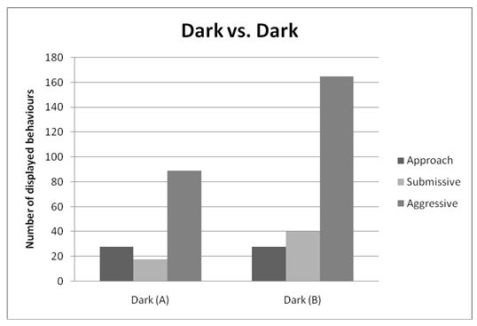 Behaviours observed in dark cichlids of population A against those of population B