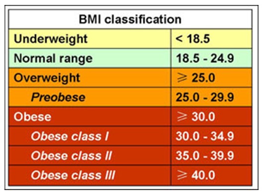 Obesity and Inflammation