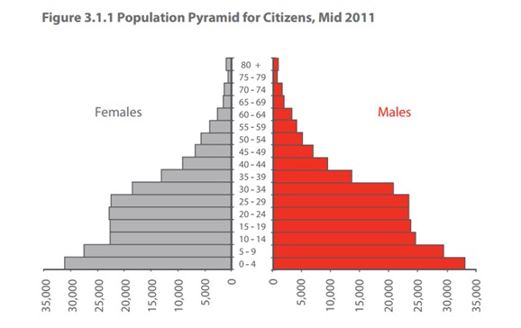 pyramid depicts the population till mid 2011