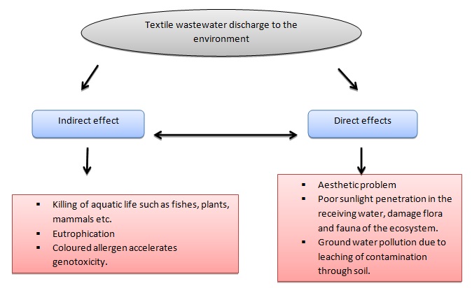 Harmful direct and indirect effects of textile wastewater.