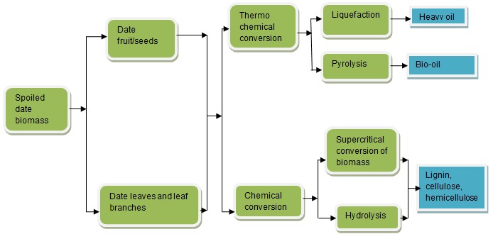 Processing bio-refinery