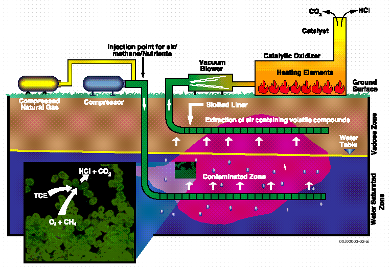 Indicating the stages of bioremediation