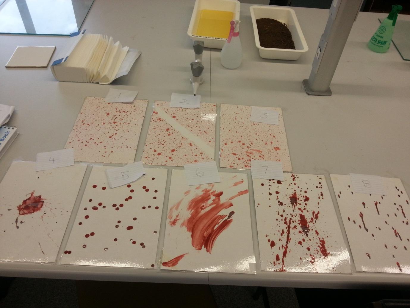 Blood Spatter Patterns