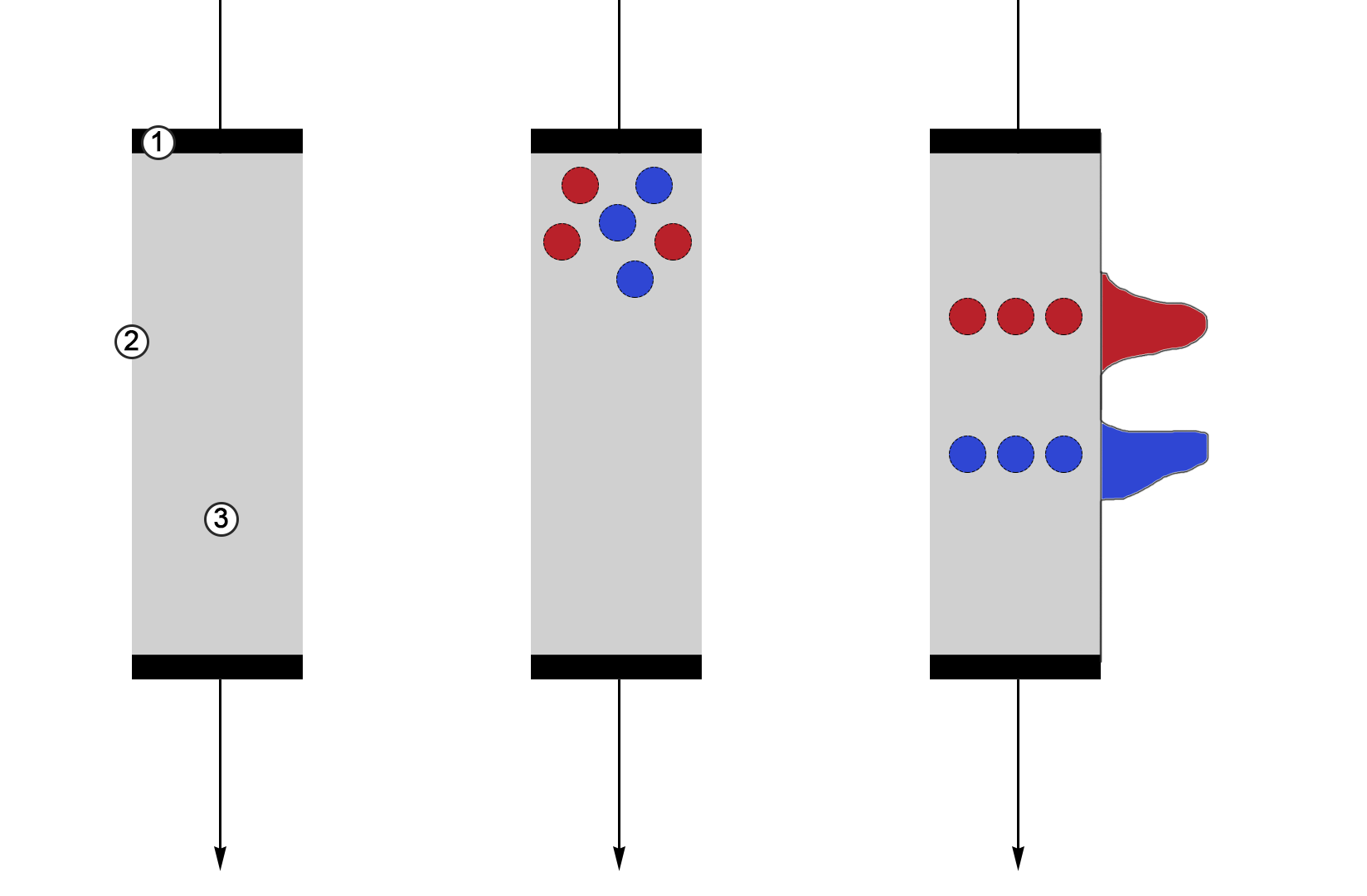 Principle of operation of column liquid chromatography: 1 is filters holding stationary phase in the volume of the vessel; 2 is walls of vessel (column); 3 — stationary phase represented by a highly porous solid carrier.